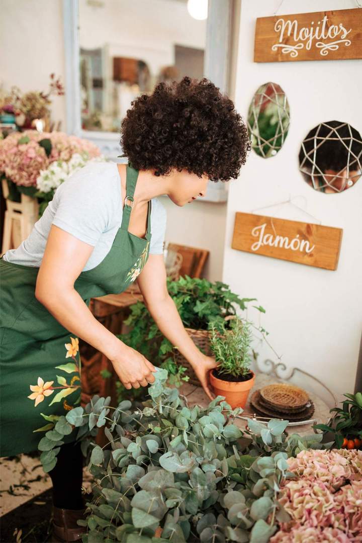 Venta de planta de interior Anglet