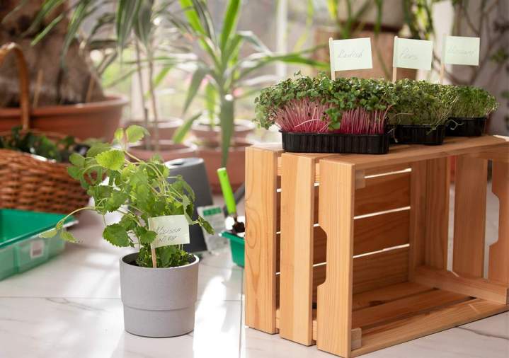 Tienda de equipos de jardinería de interior Anglet