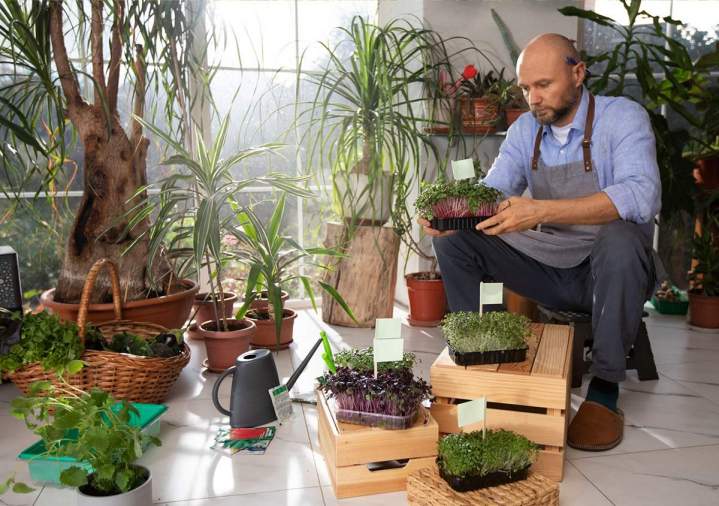 Tienda de plantas de interior Anglet