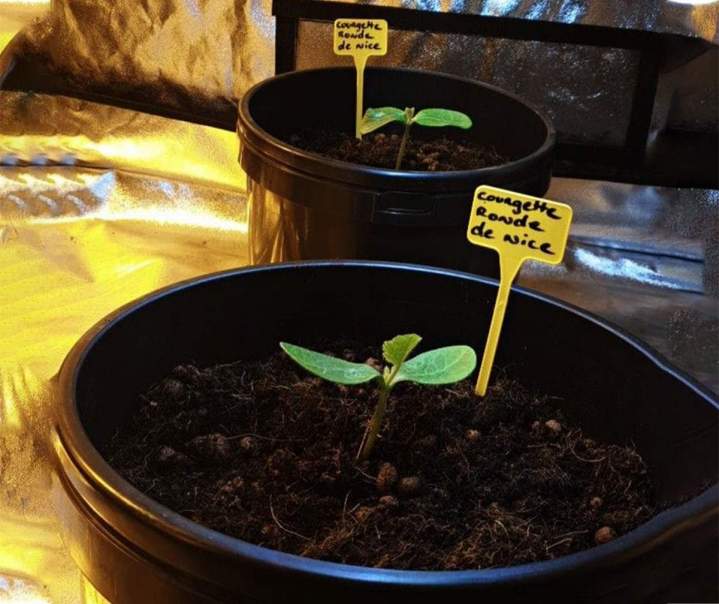 Boutique de fleurs intérieures avec résines Anglet