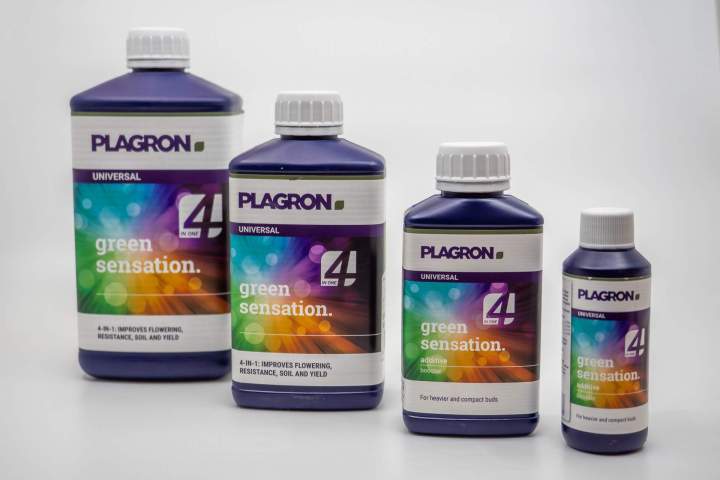 Nos produits - Anglet