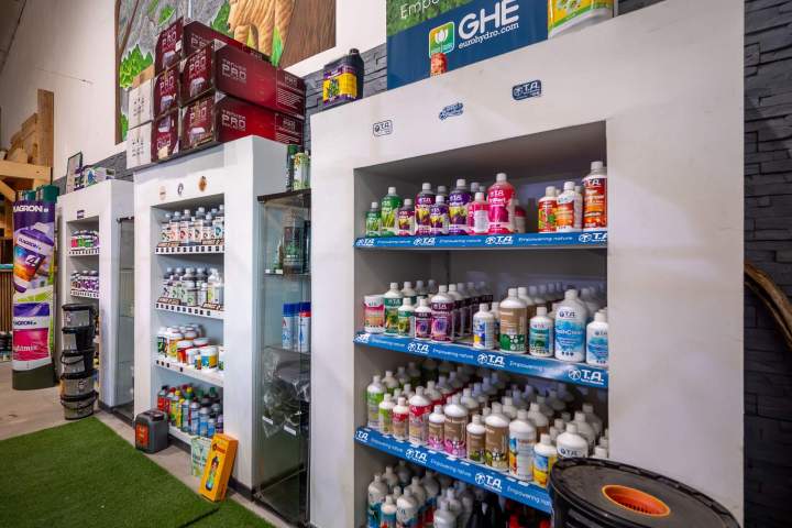 Nos produits - Anglet